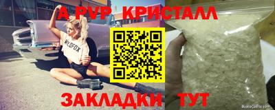 шишки Заволжье