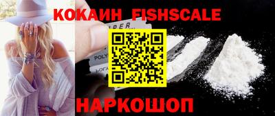 шишки Заволжье