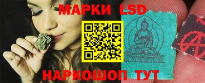 шишки Заволжье