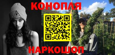 шишки Заволжье