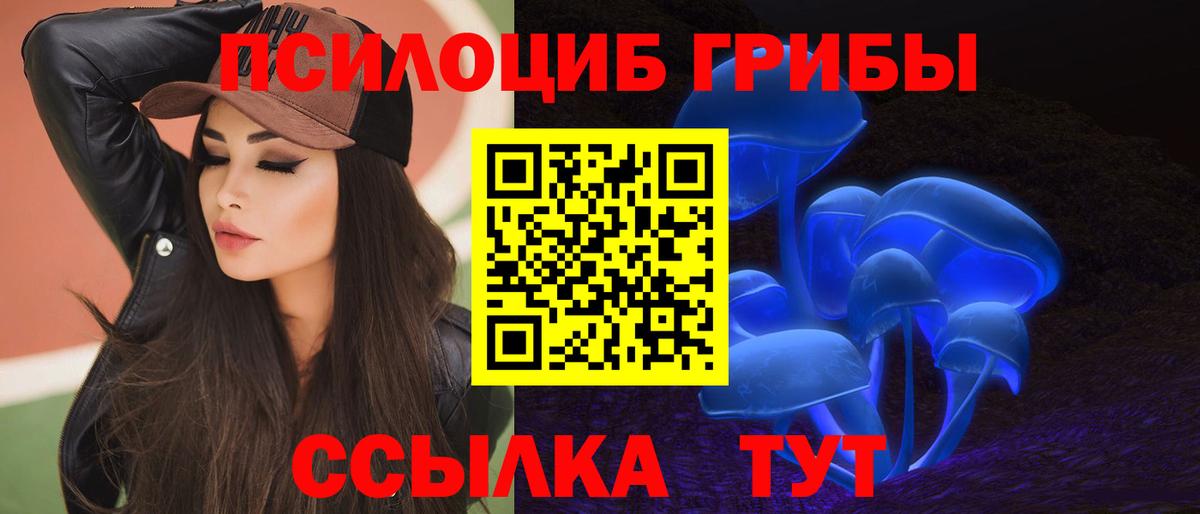 Галлюциногенные грибы Psilocybe Новороссийск