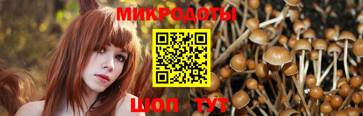 Галлюциногенные грибы Psilocybine cubensis  Вход с VPN  Новороссийск  Галлюциногенные грибы мухоморы 